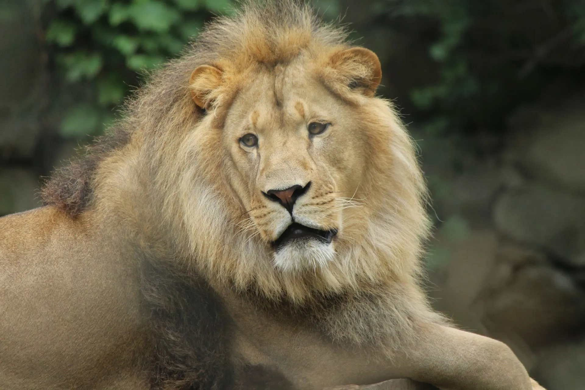 Southwick's Zoo