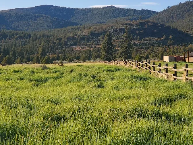 Susanville