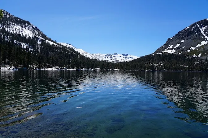 Gardnerville