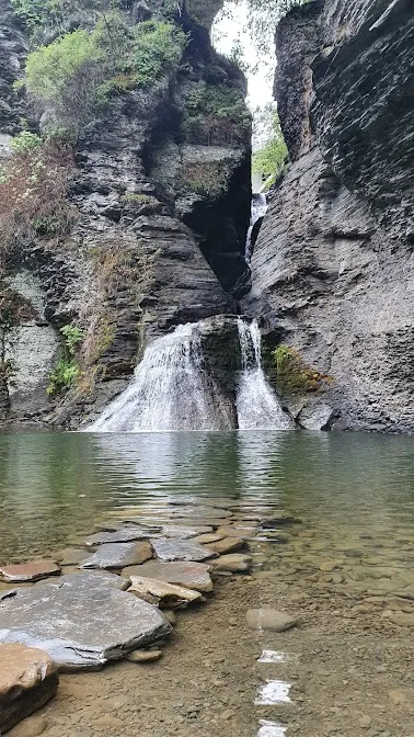 Margaretville