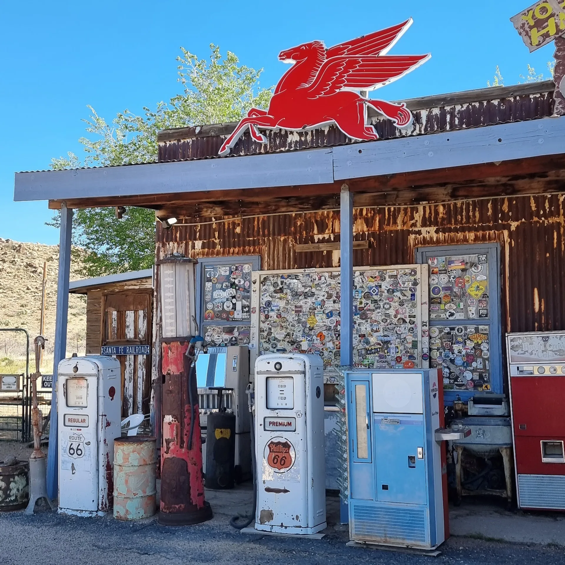 Kingman