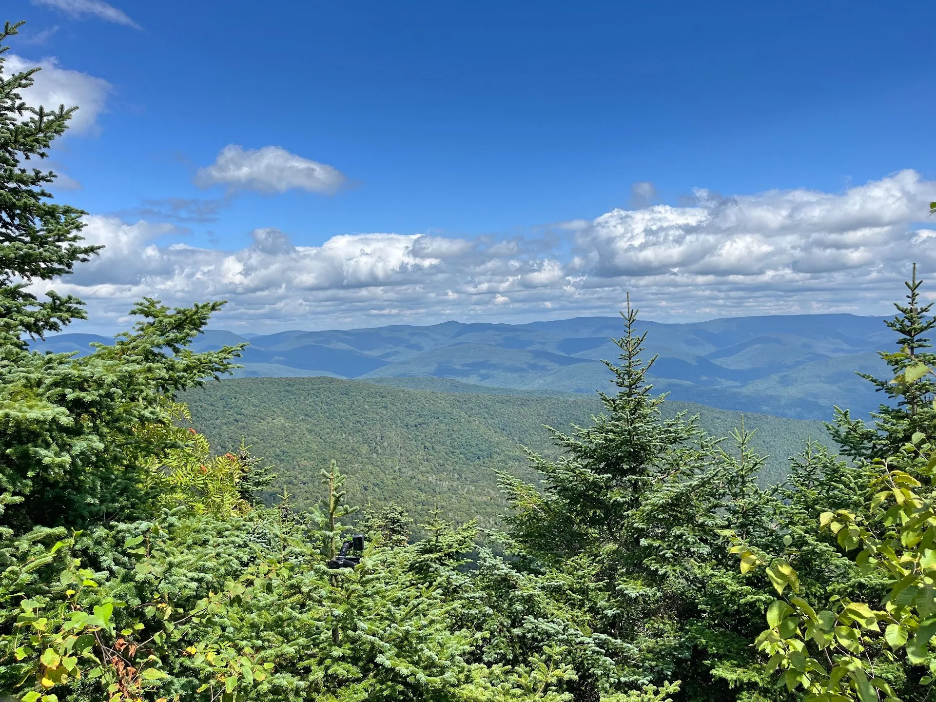 Margaretville
