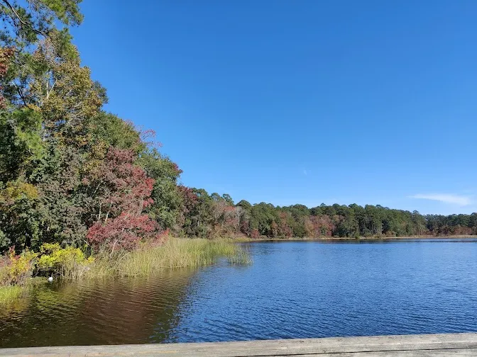 Conroe