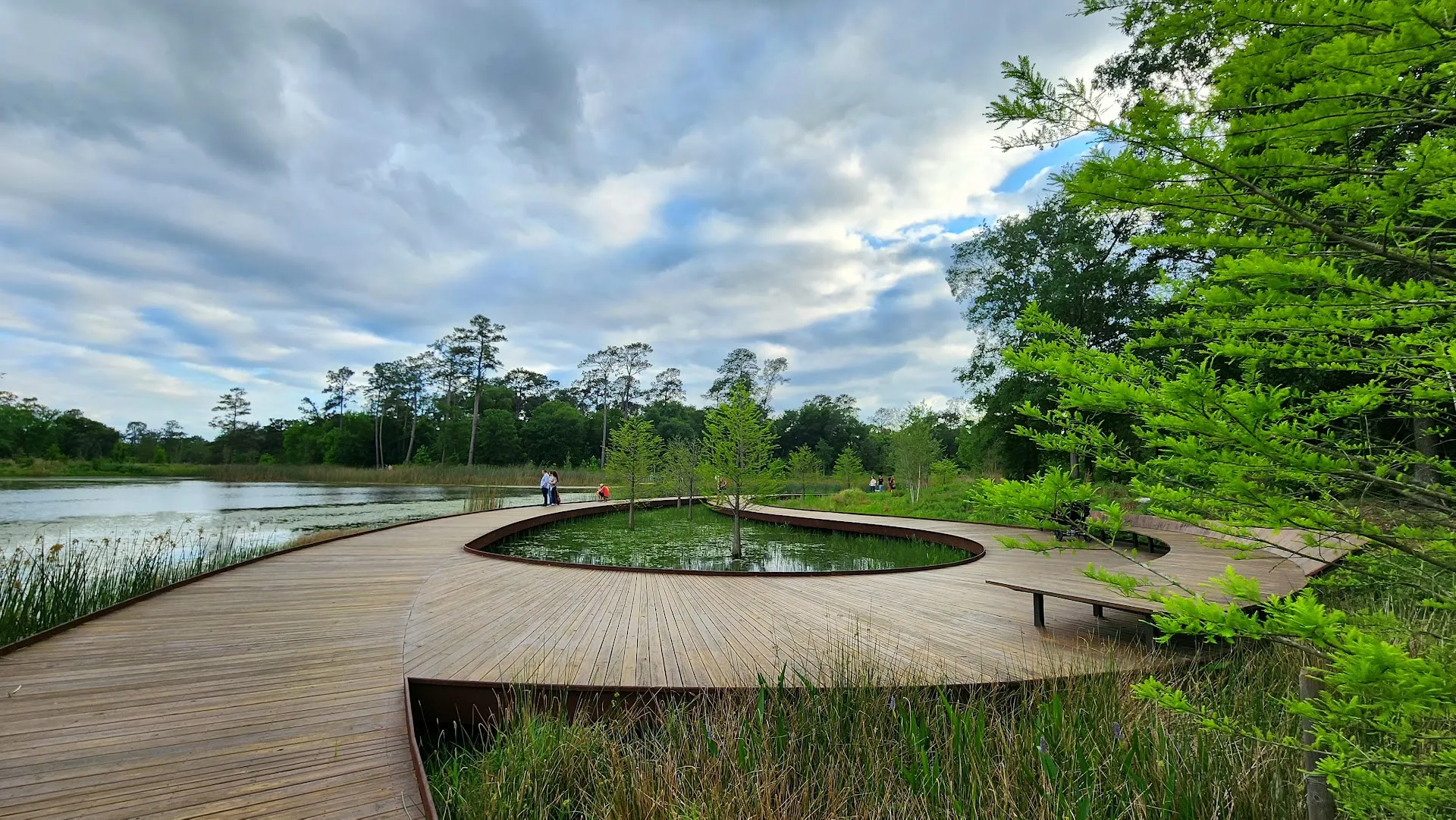 The Woodlands