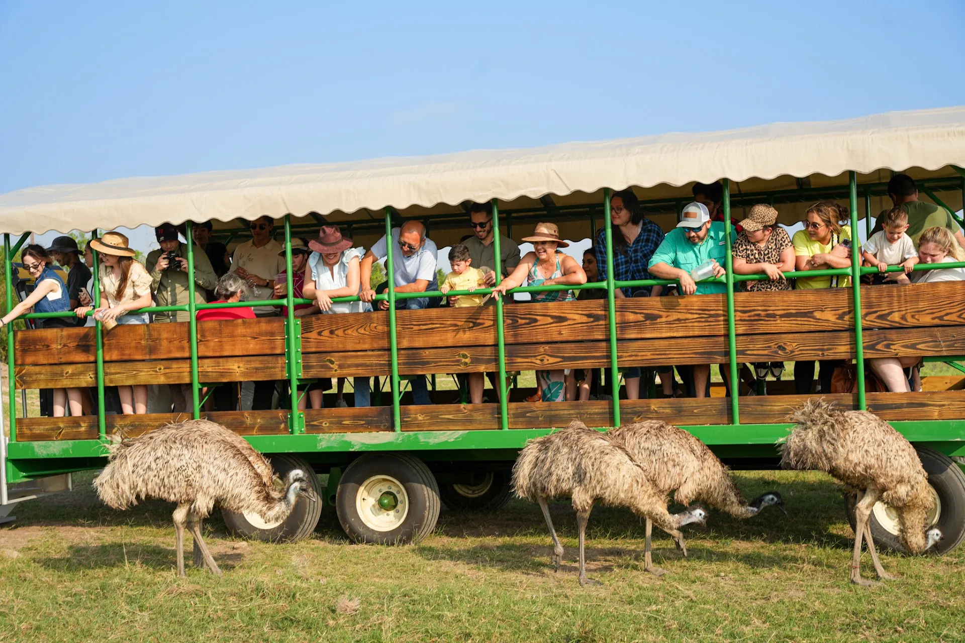 Fragile Planet Wildlife Park