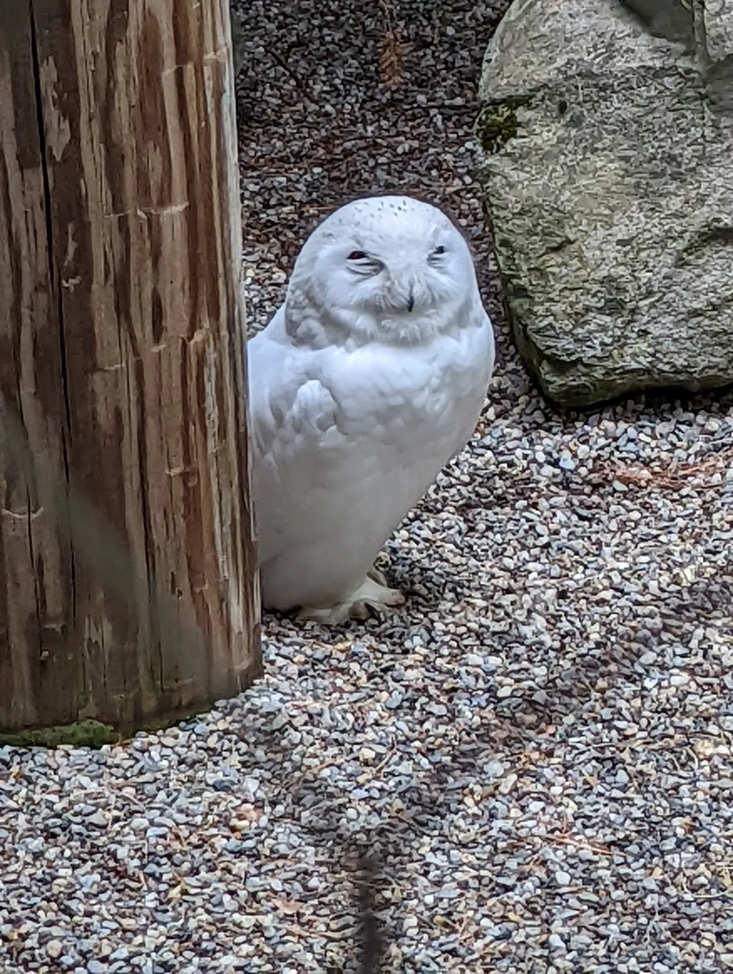 VINS Nature Center