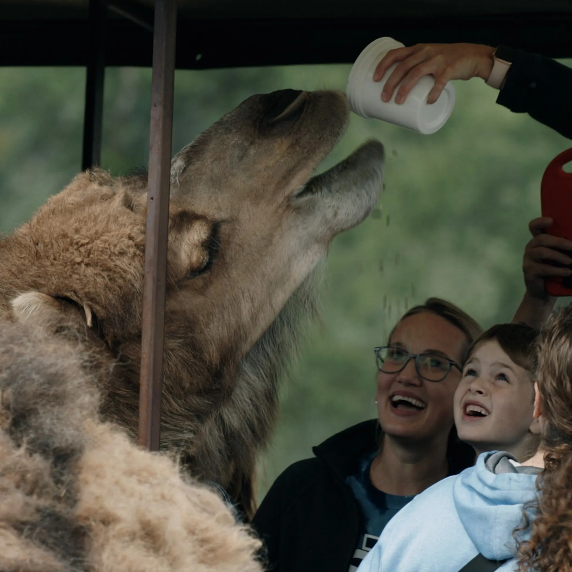 Hidden Valley Animal Adventure