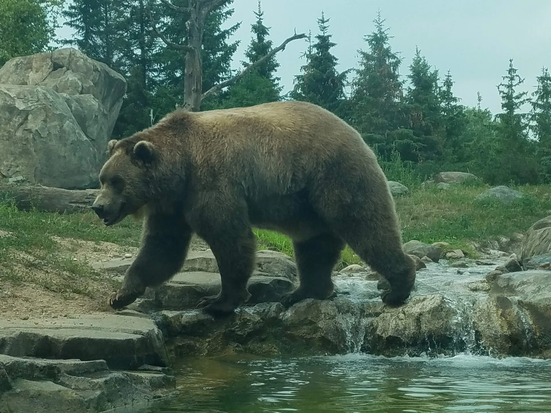 Minnesota Zoo