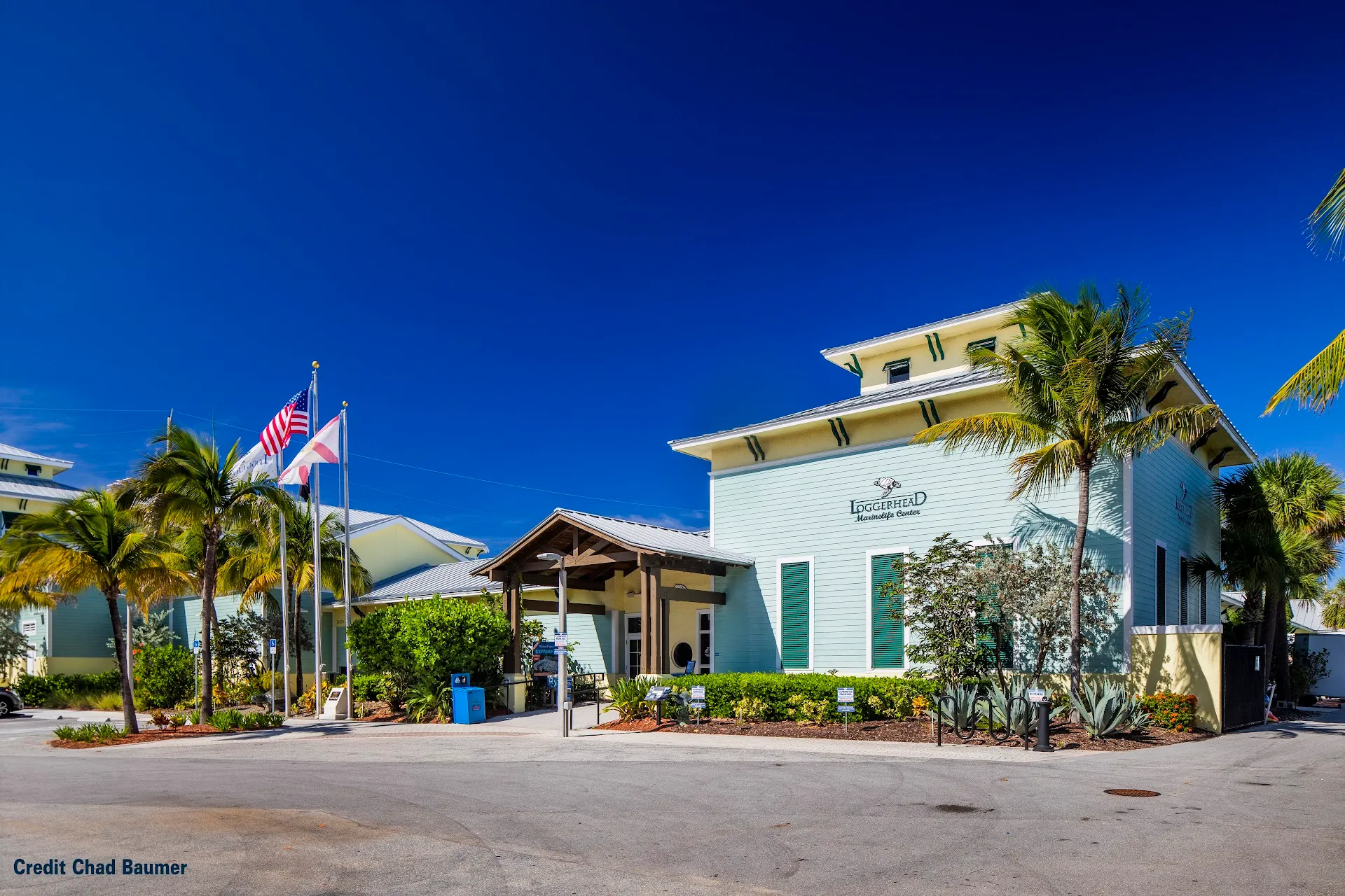 Loggerhead Marinelife Center