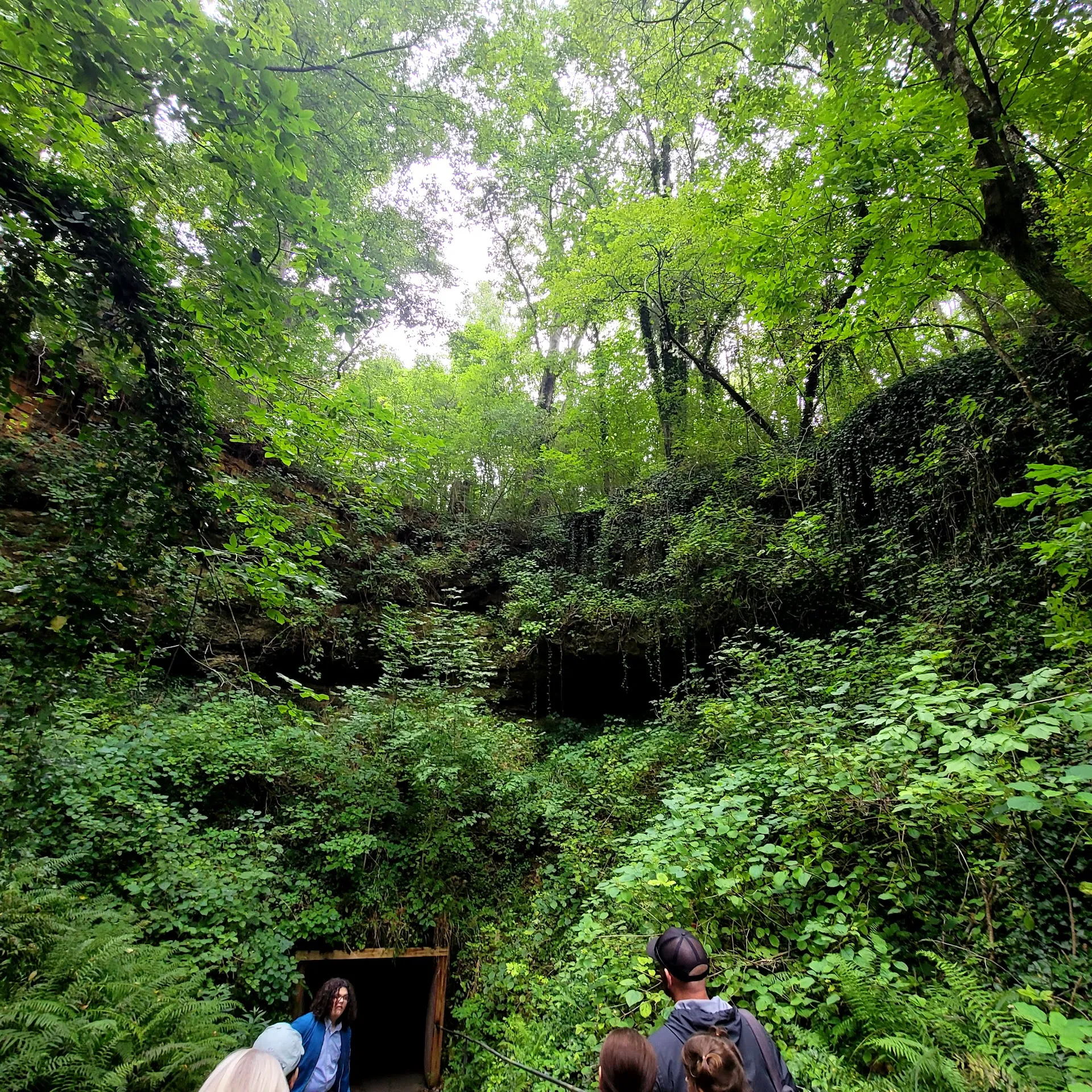 Bluespring Caverns Park