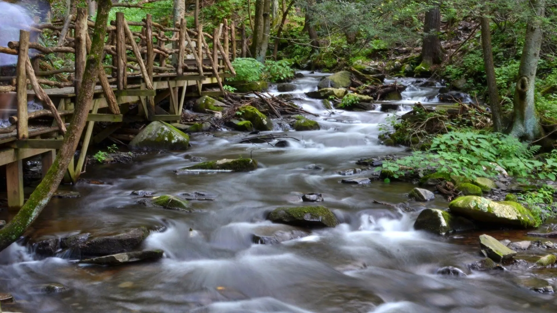 Bushkill Falls
