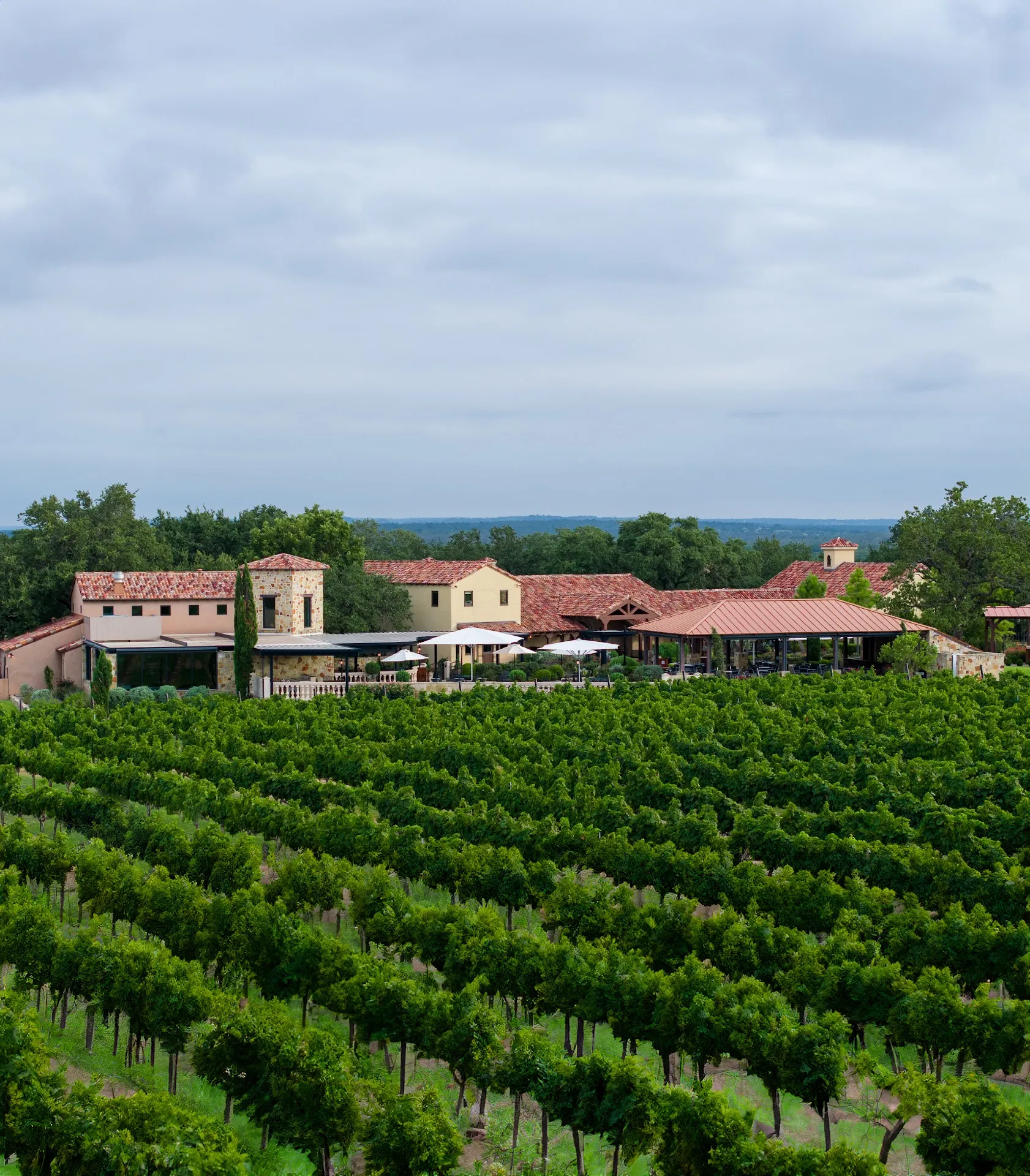 Grape Creek Vineyards
