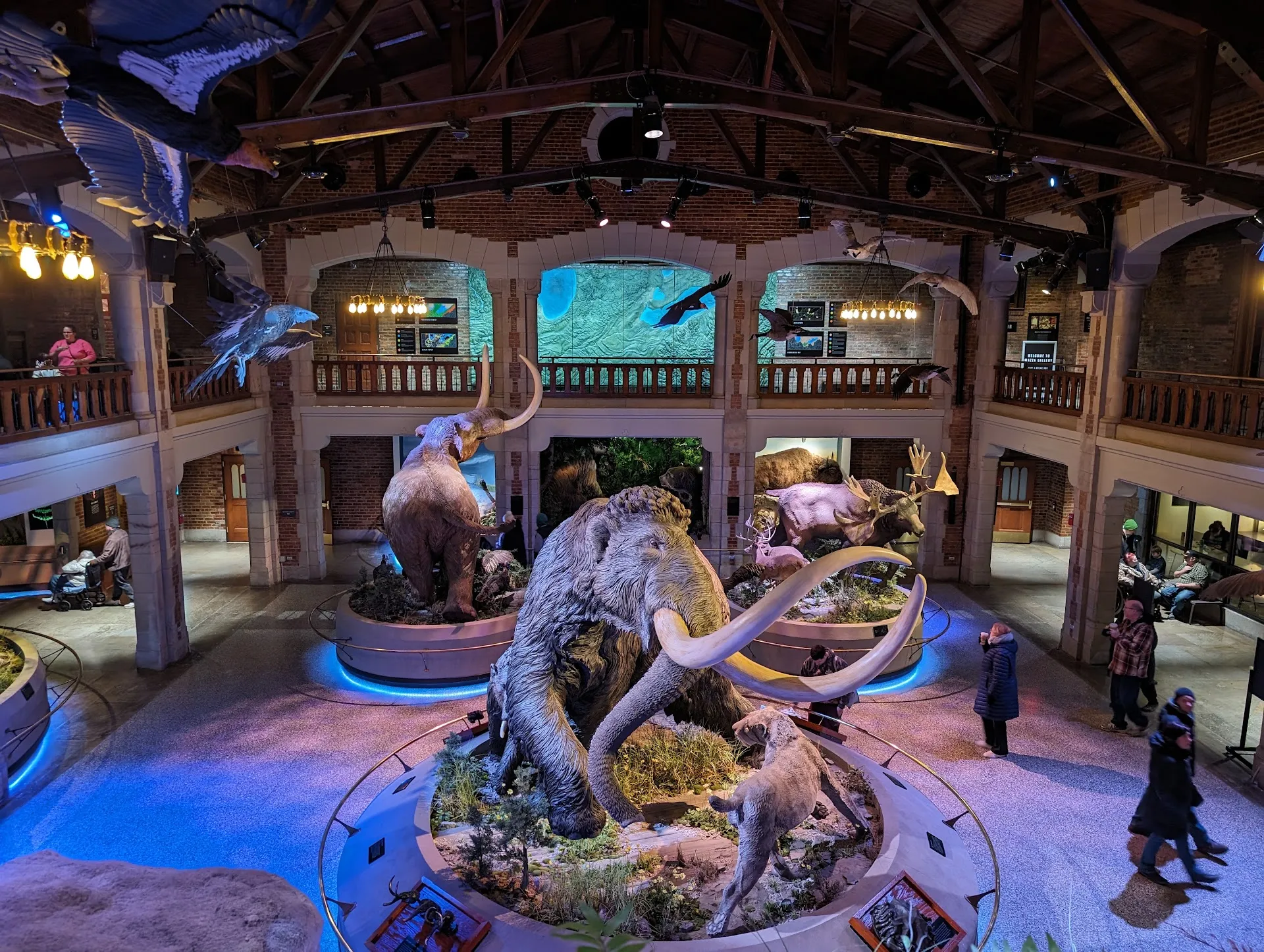 Toledo Zoo