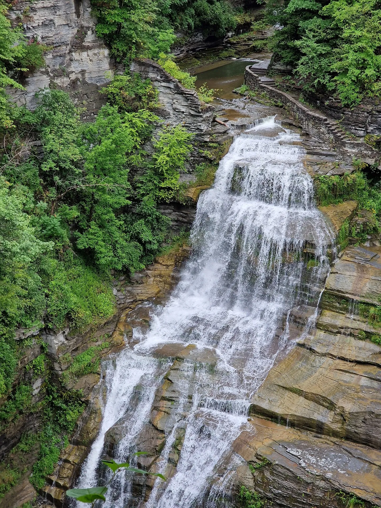 Robert H. Treman State Park