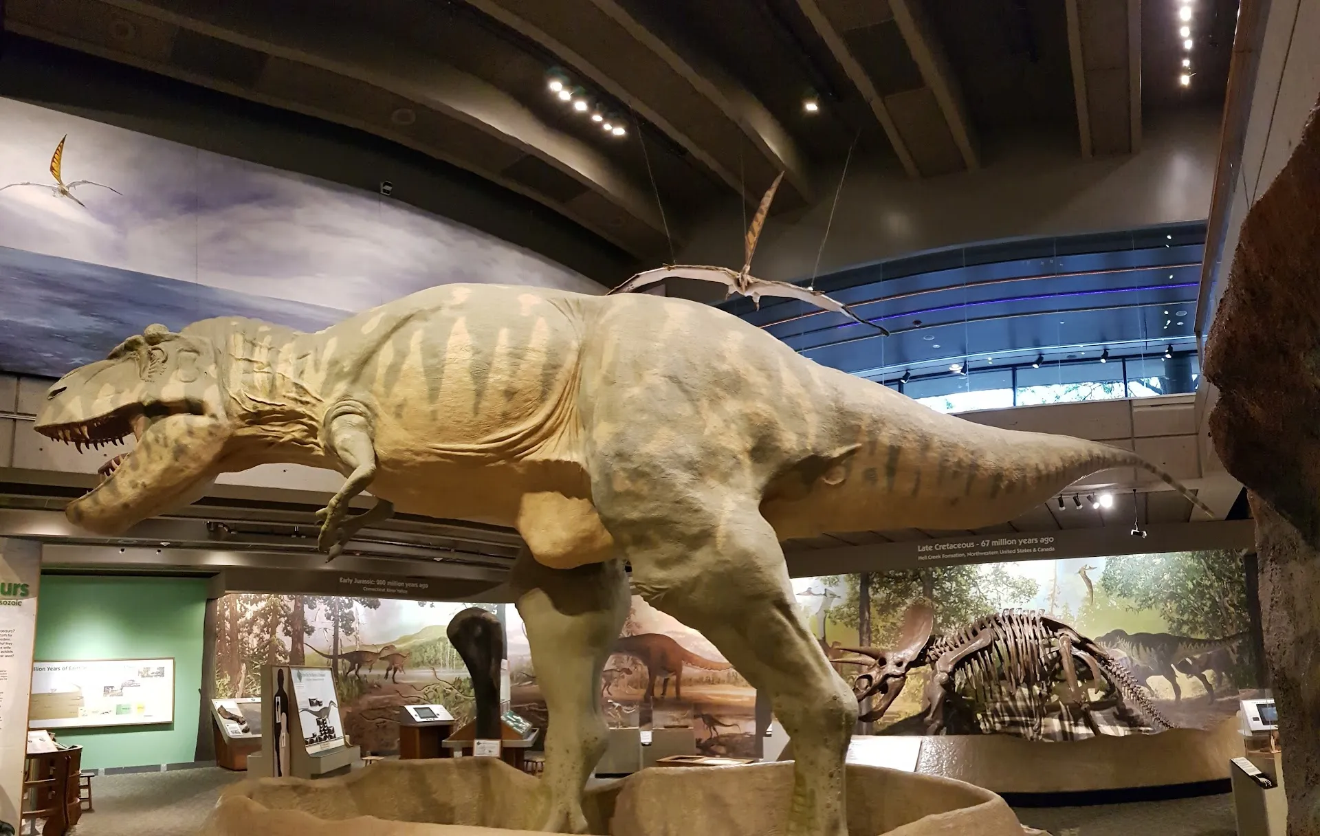 Museum of Science