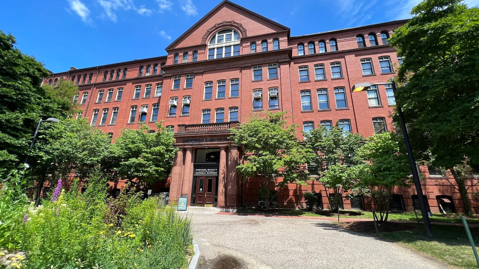 The Harvard Museum of Natural History