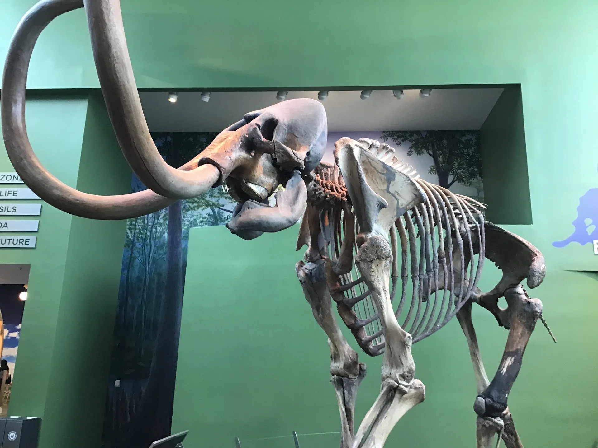 Florida Museum