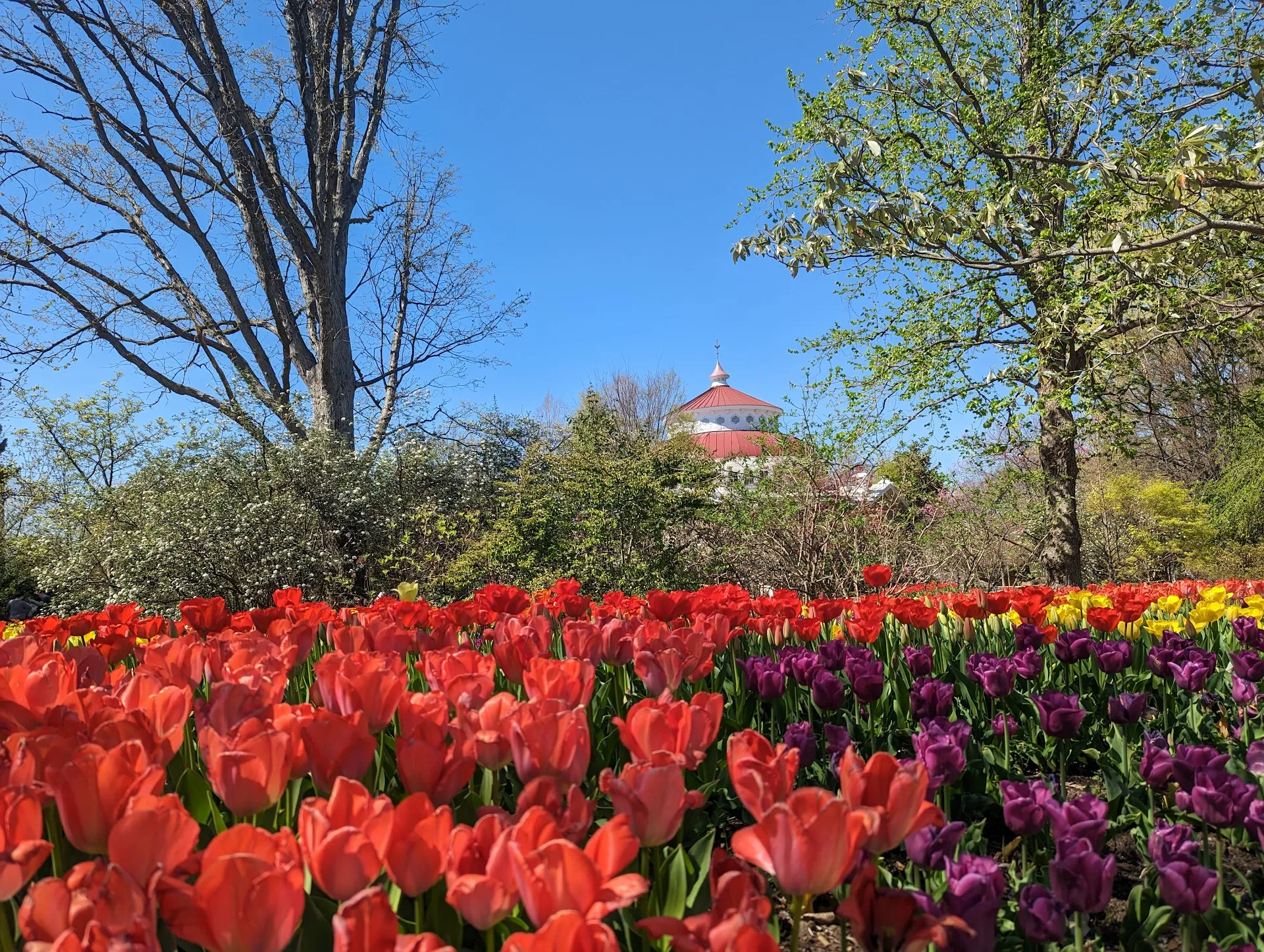 Cincinnati Zoo & Botanical Garden