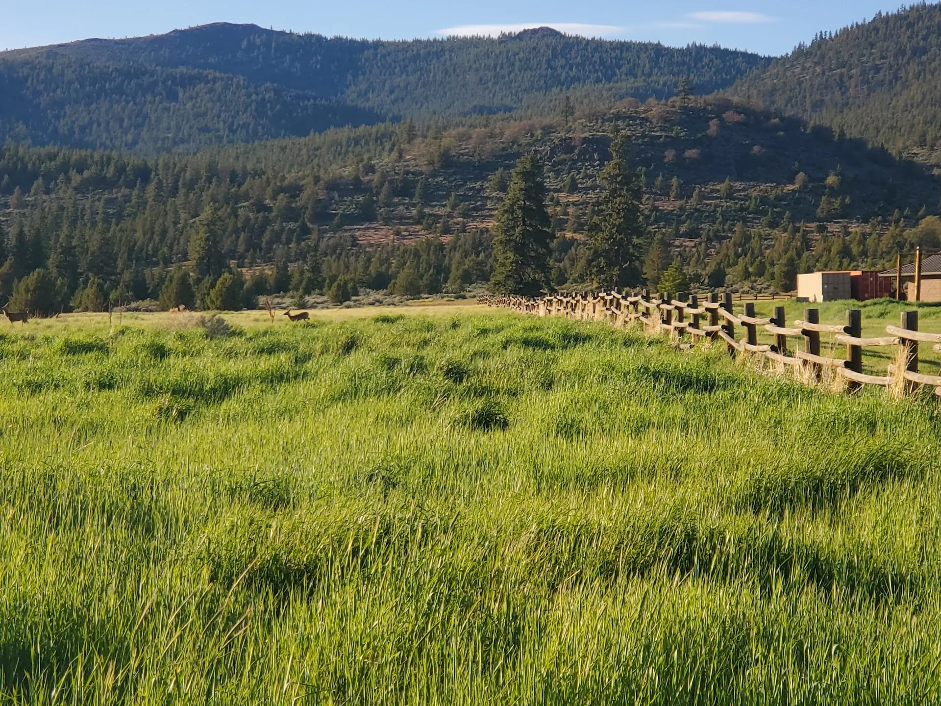 Susanville Ranch Park
