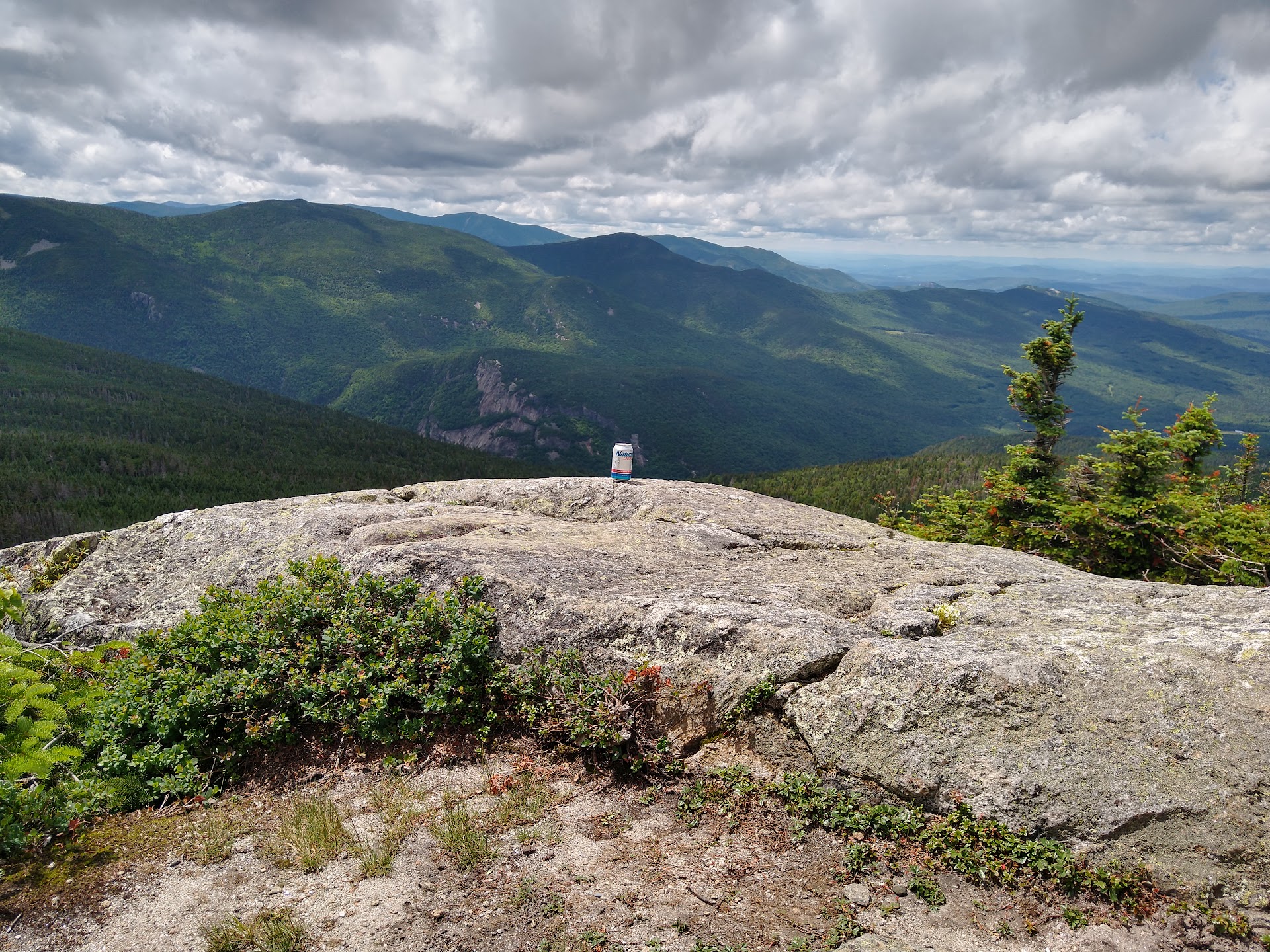 White Mountain National Forest