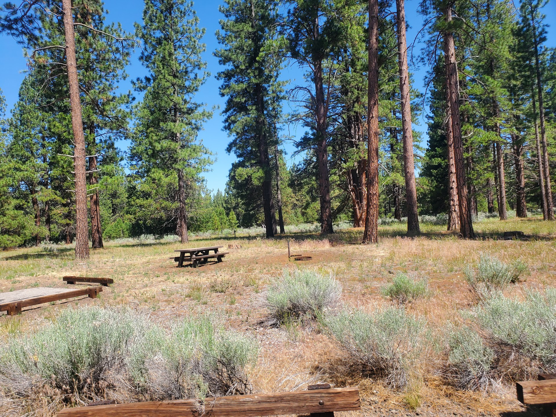 Eagle campground