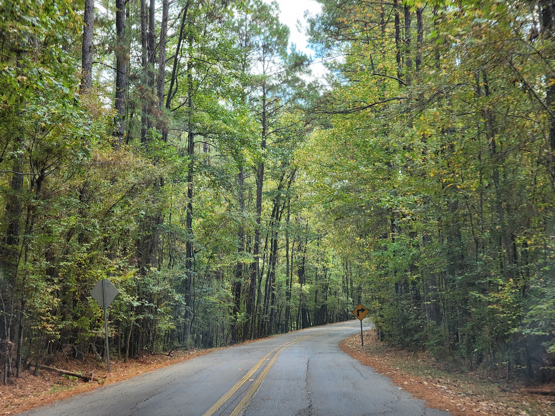 Chicot State Park