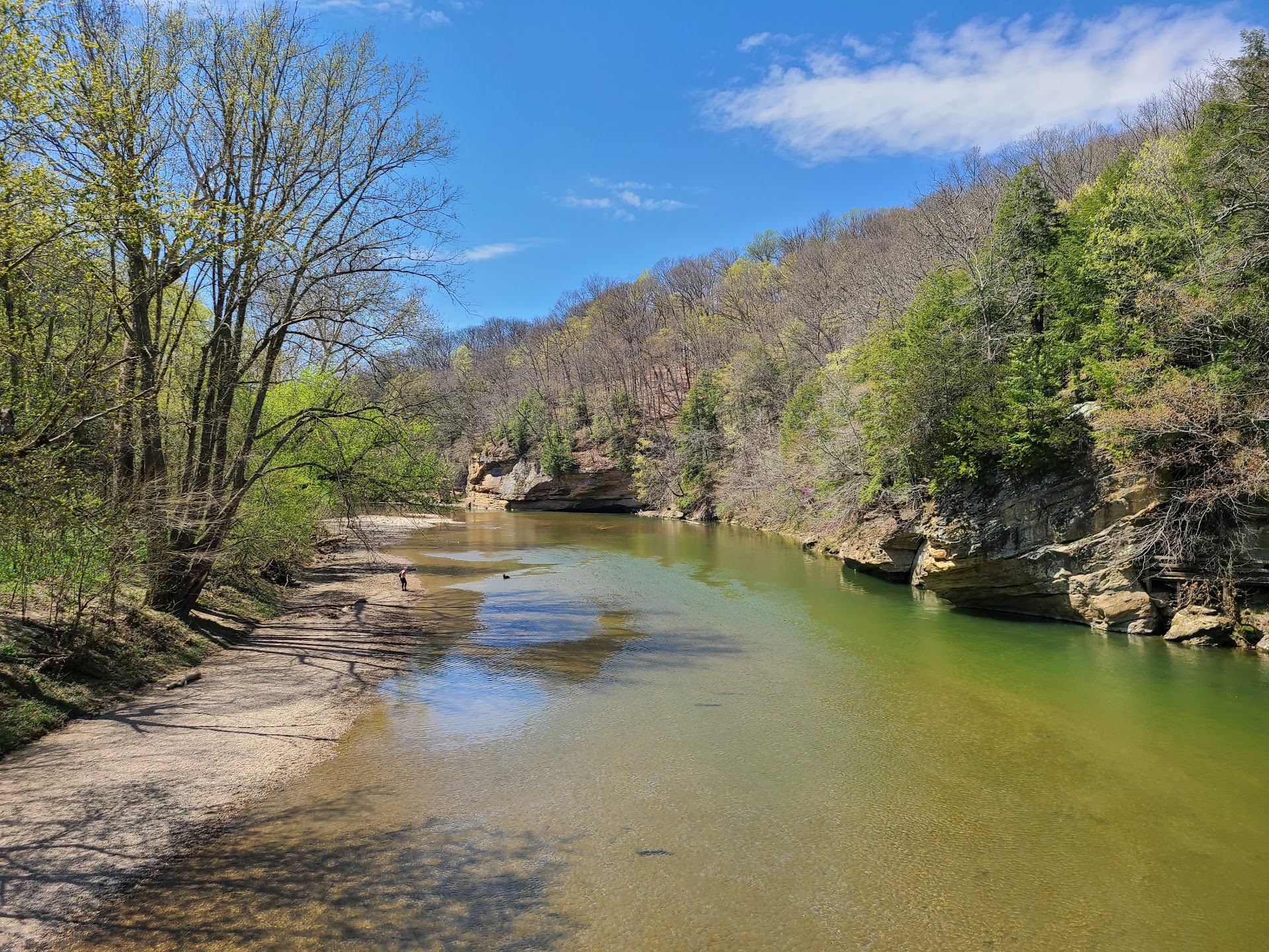 Turkey Run State Park