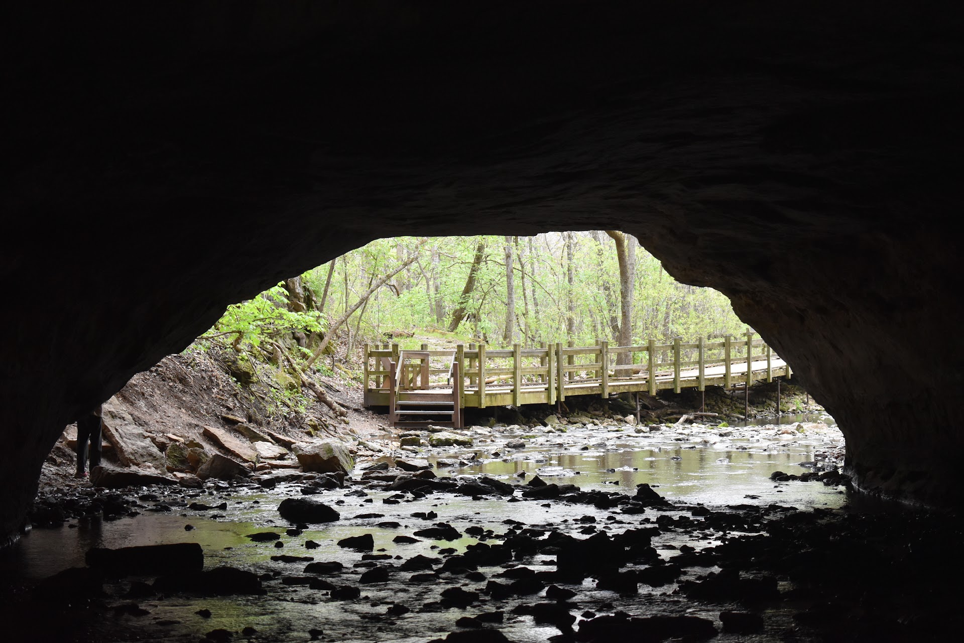 Rock Bridge Memorial State Park