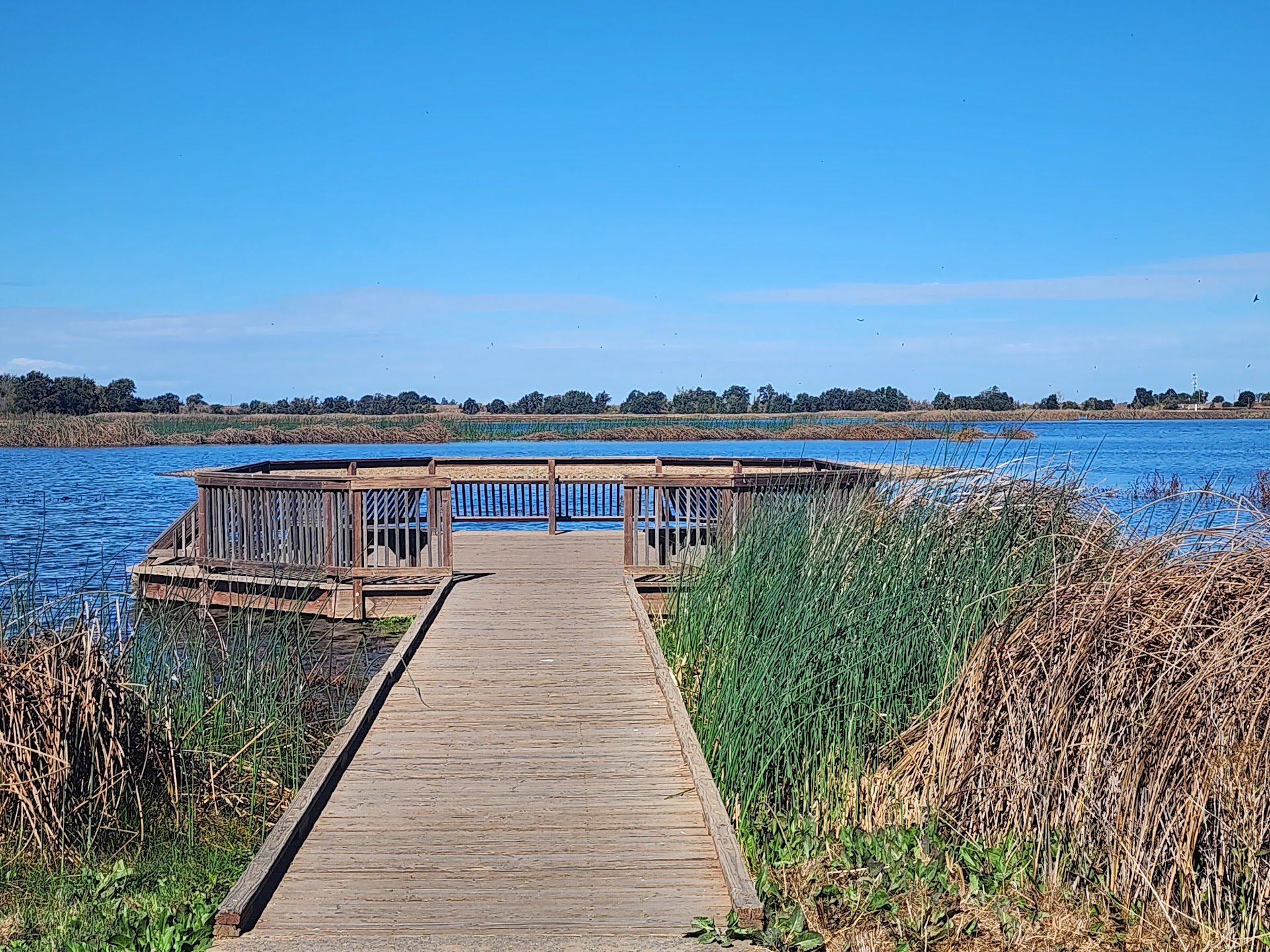 Cosumnes River Preserve