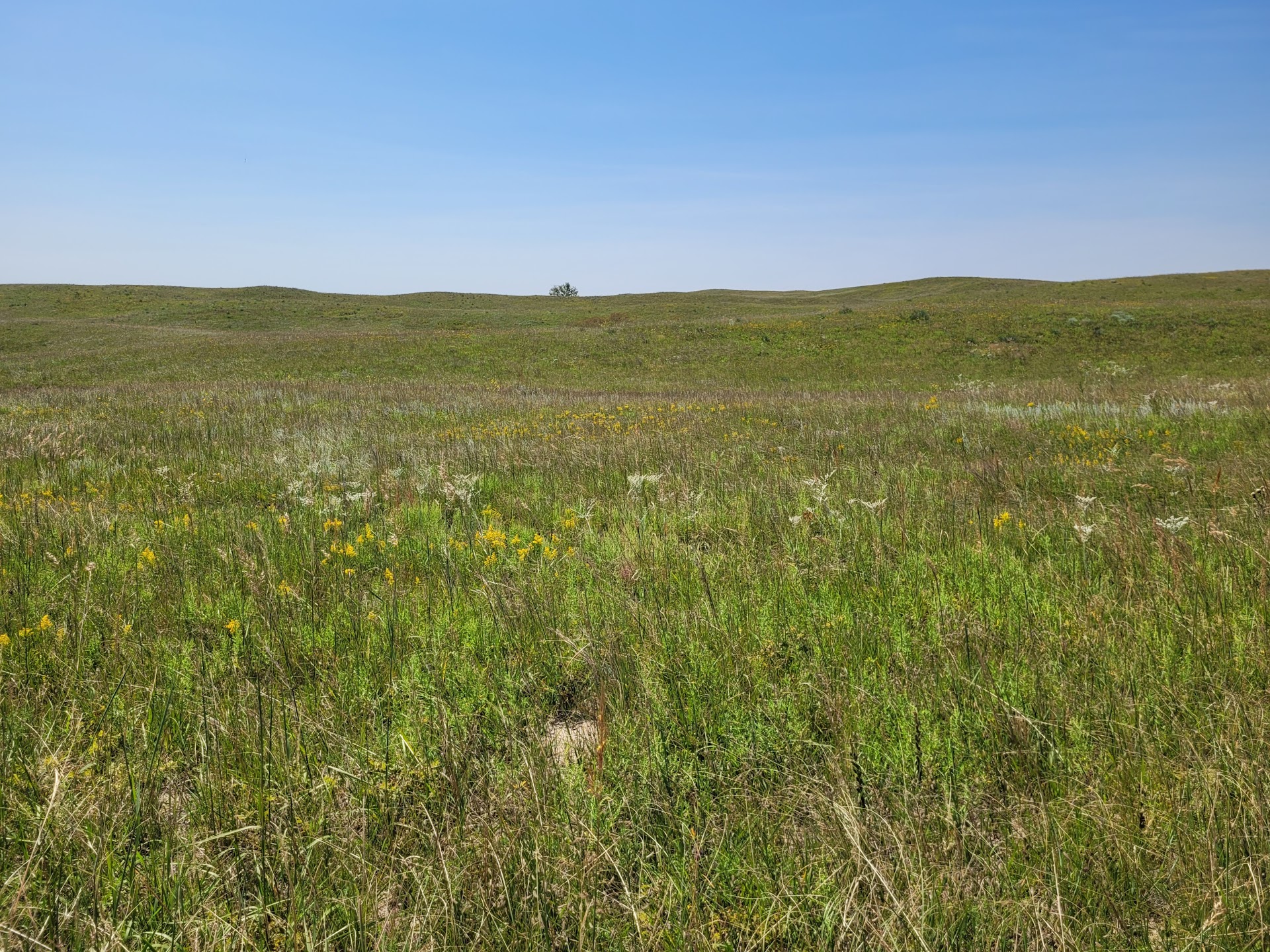 Niobrara Valley Preserve