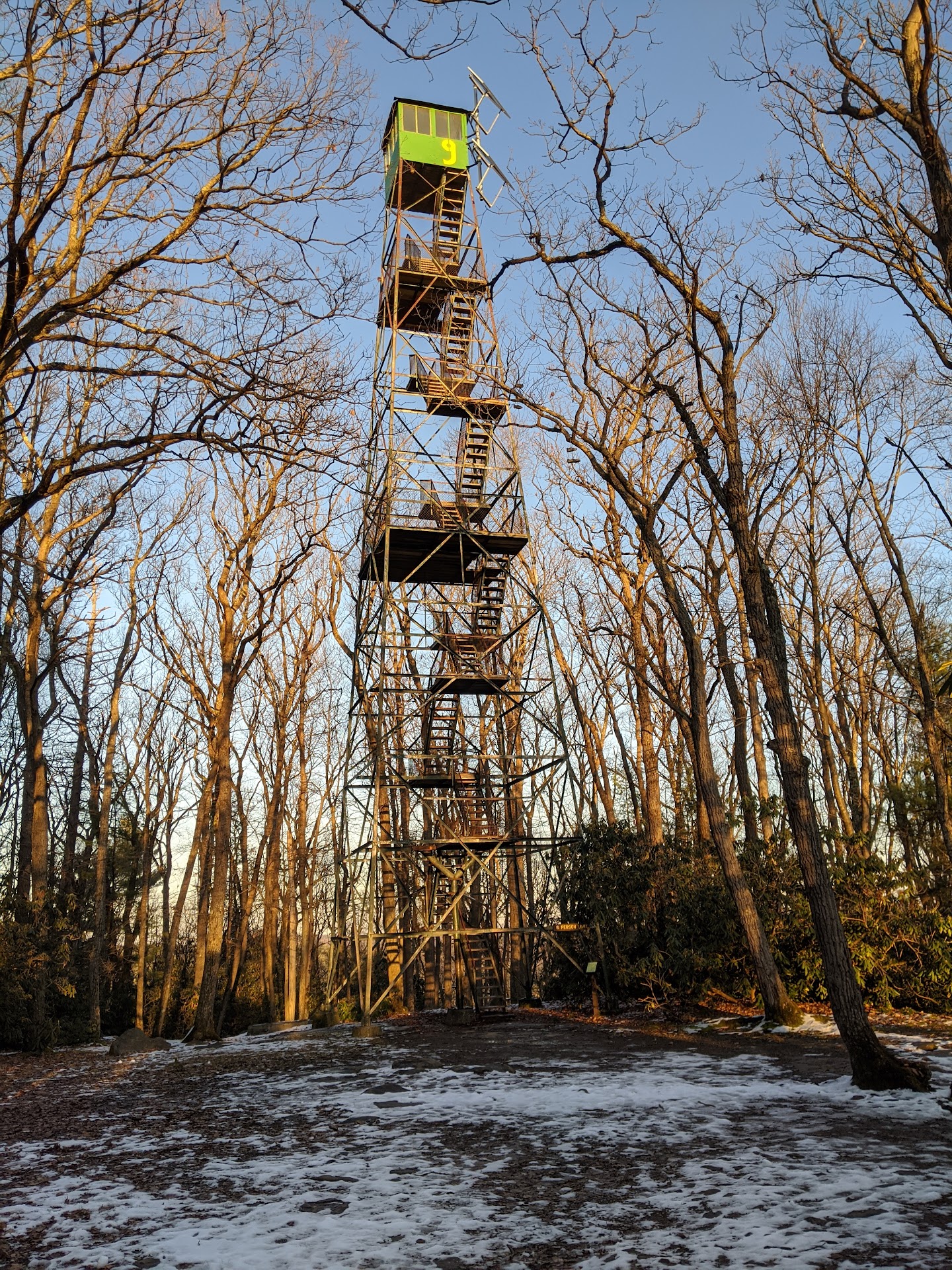 Cook Forest State Park