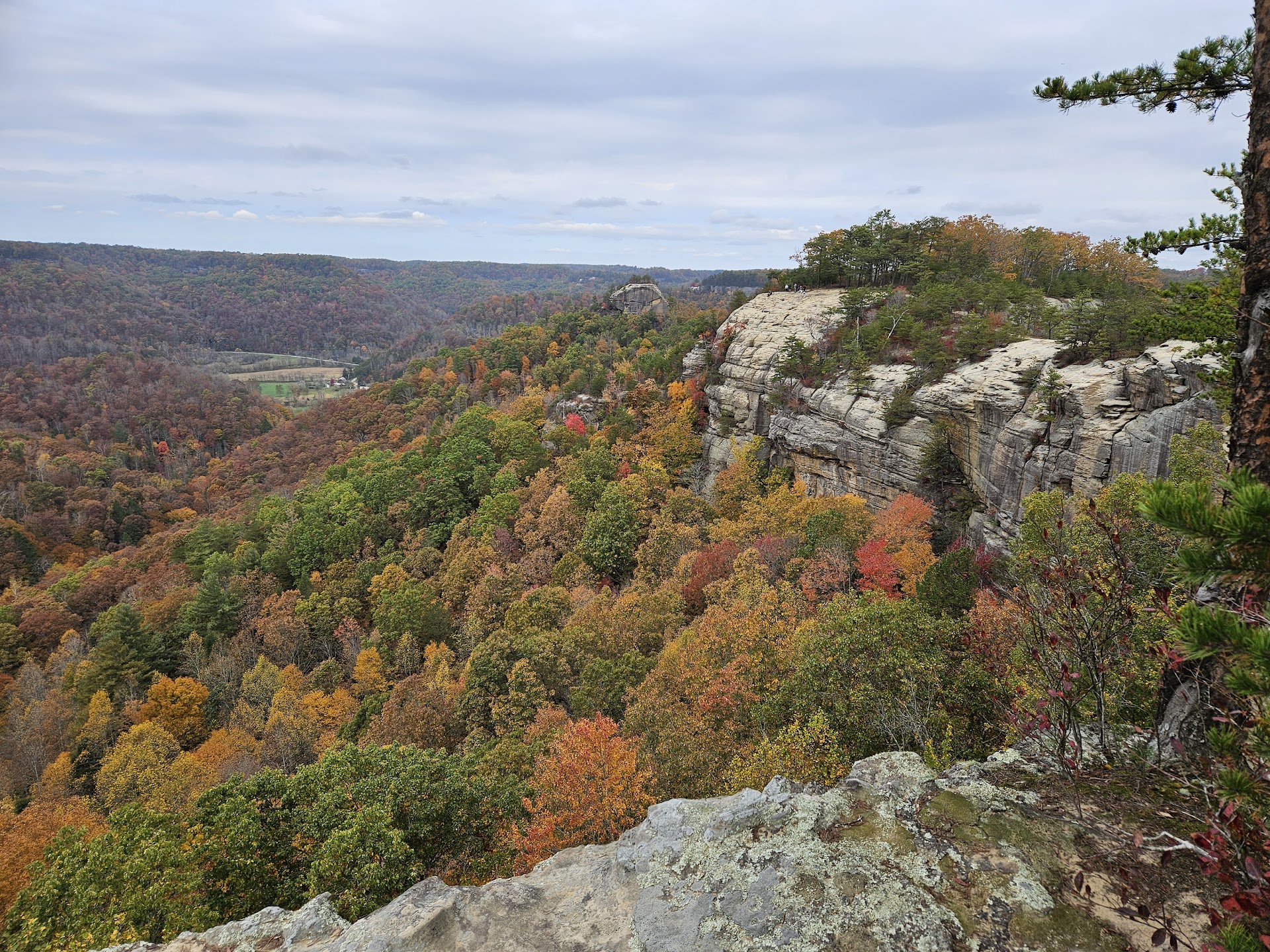 Auxier Ridge Trailhead