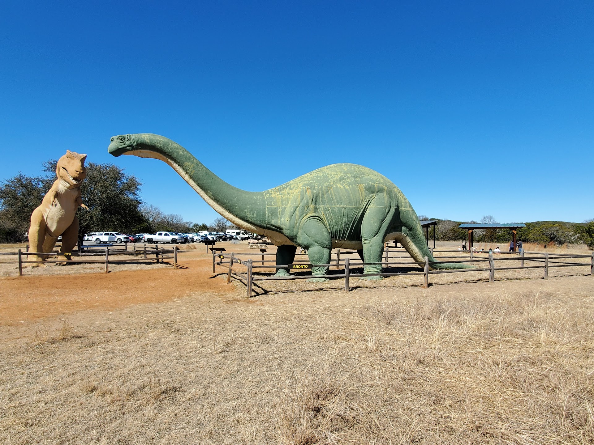 Dinosaur Valley State Park