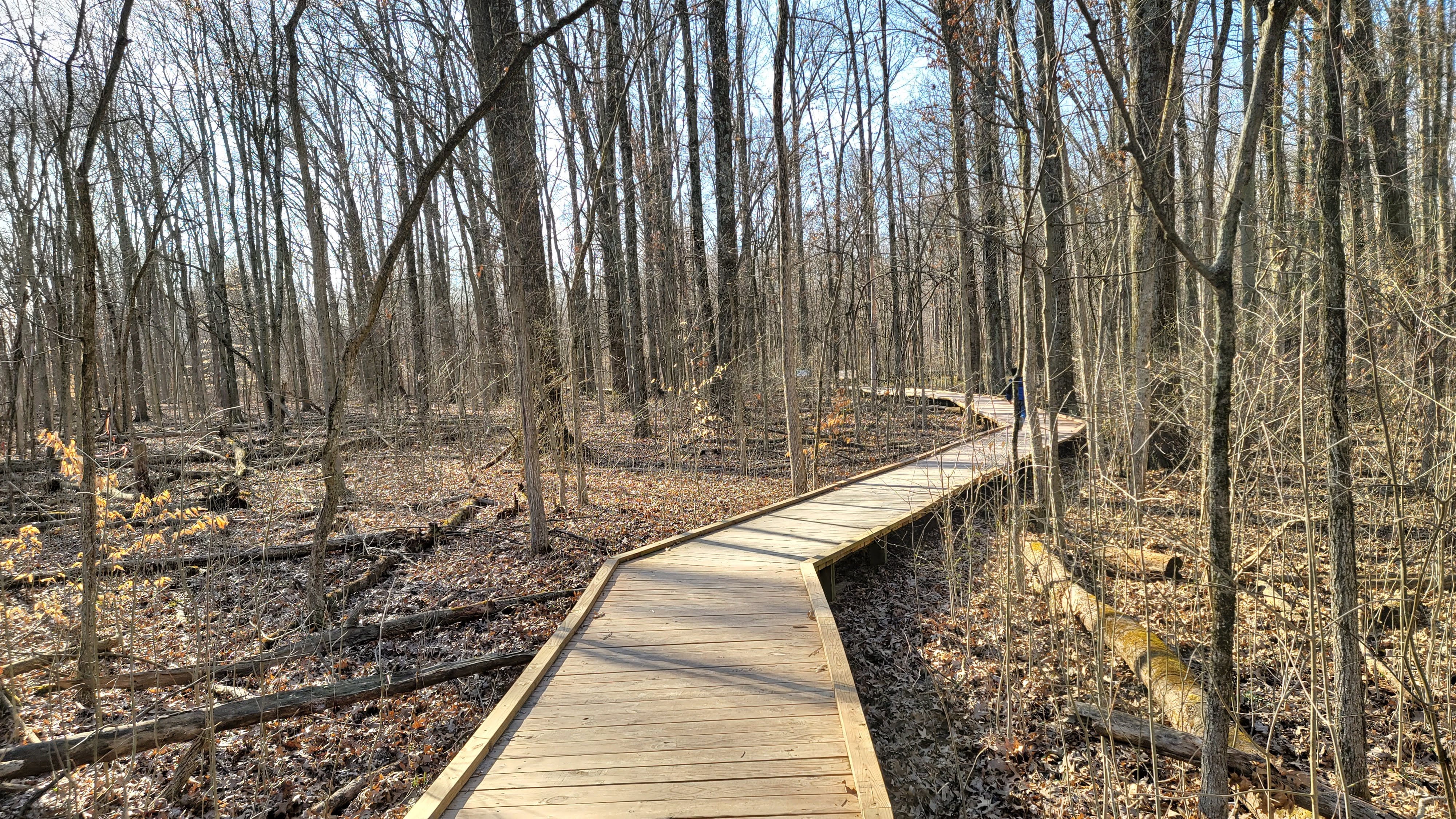 Blacklick Woods Metro Park