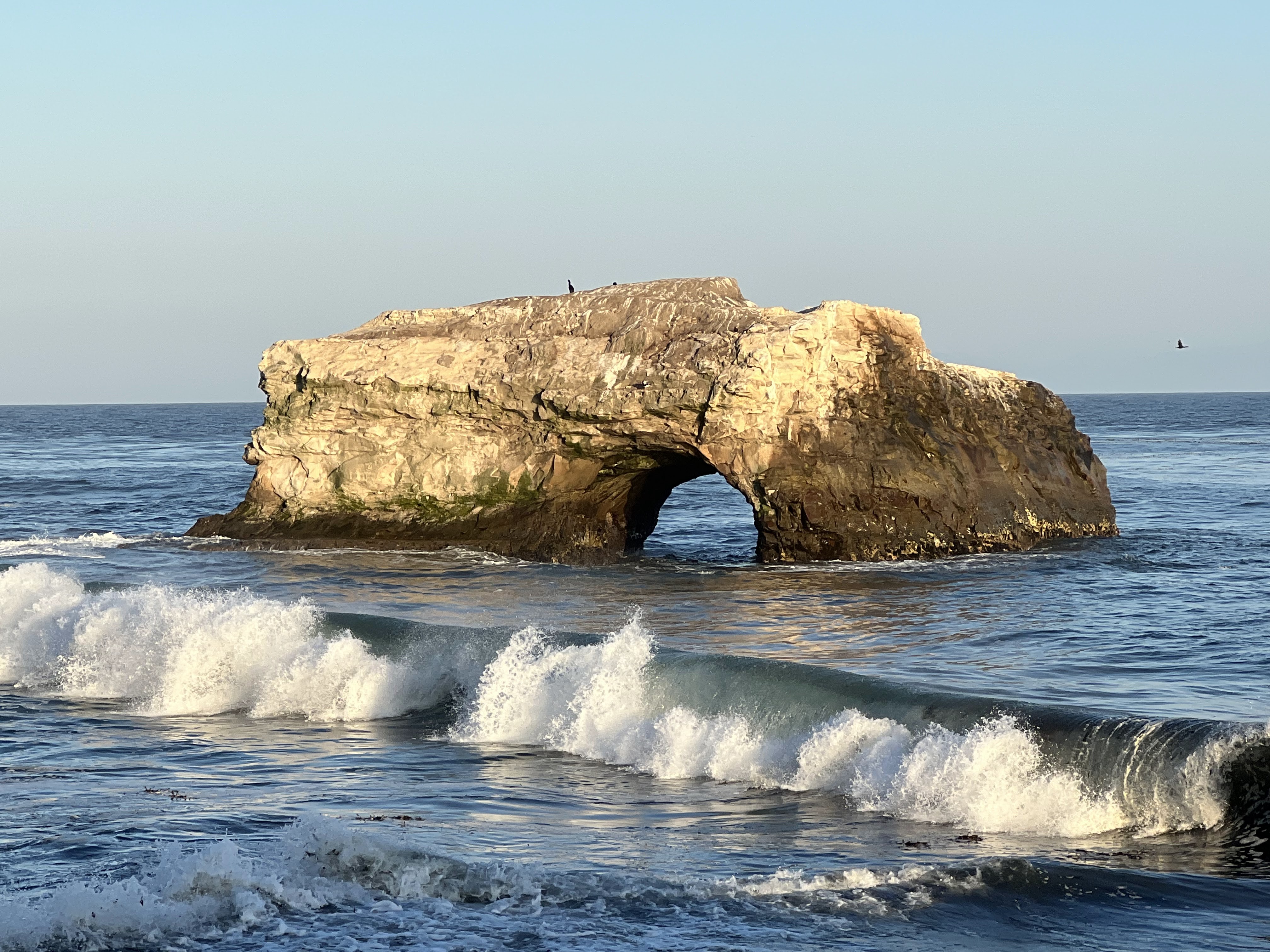 Natural Bridges State Beach
