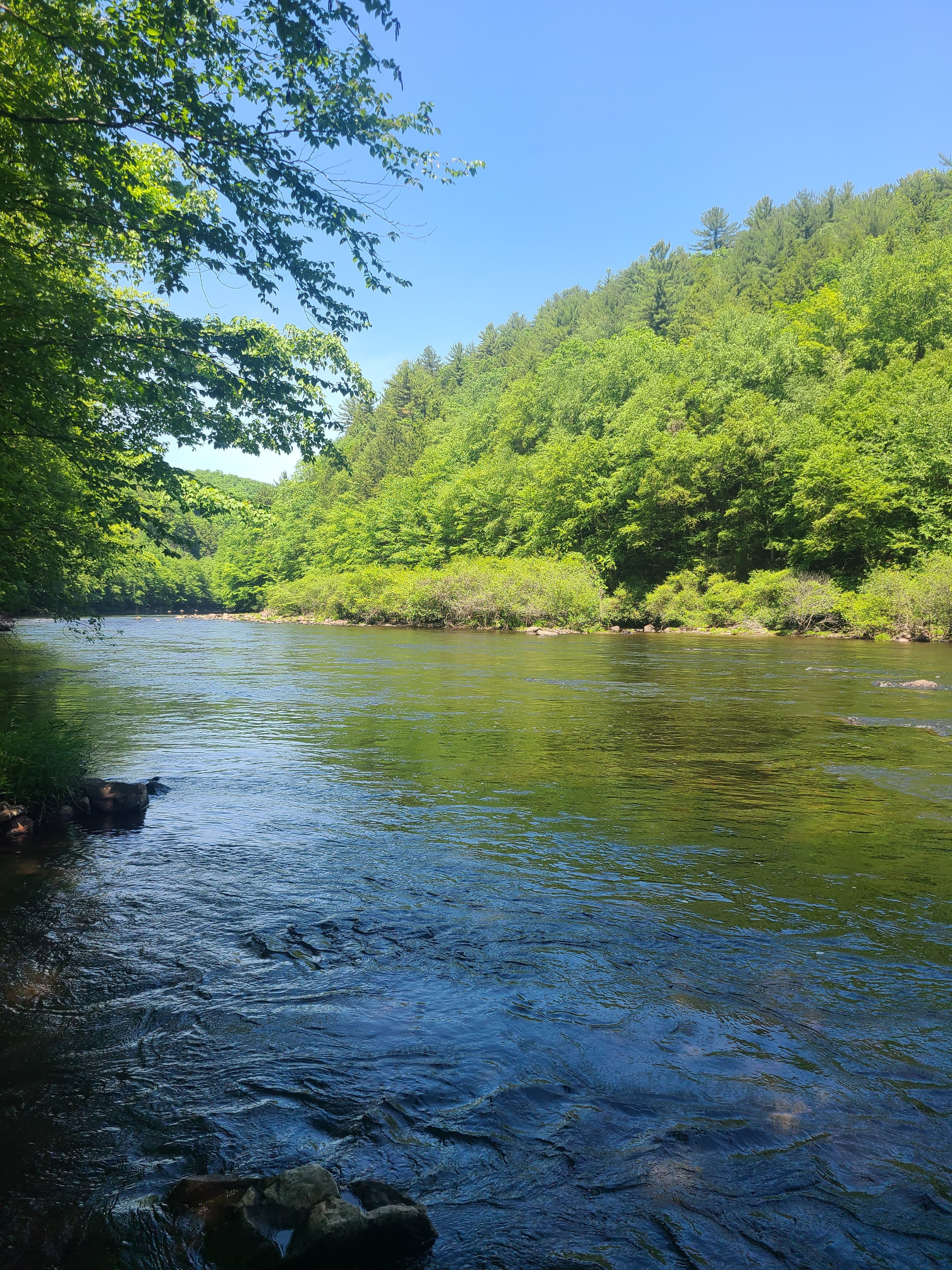 Lehigh Gorge State Park