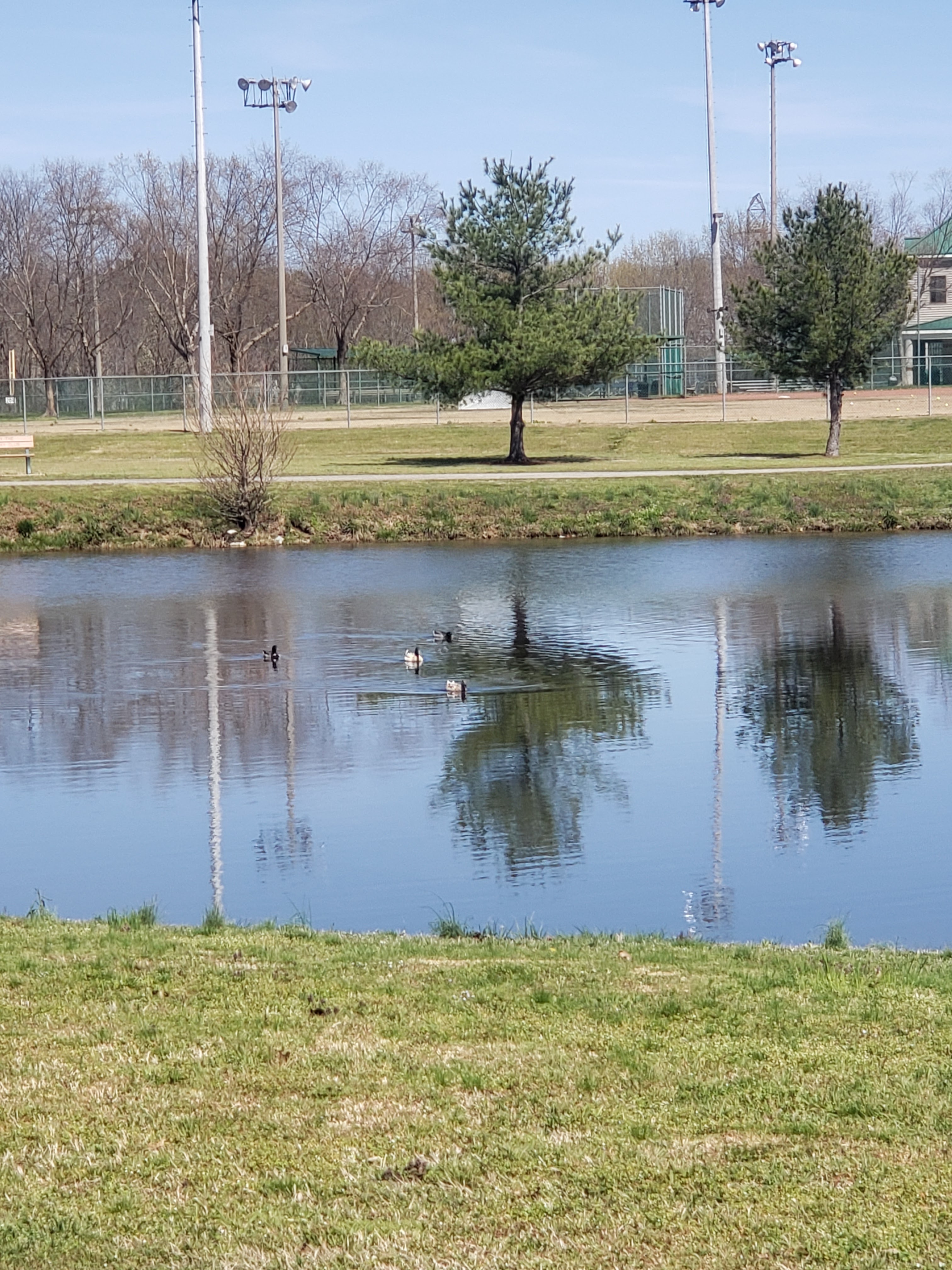 Martin Recreation Complex