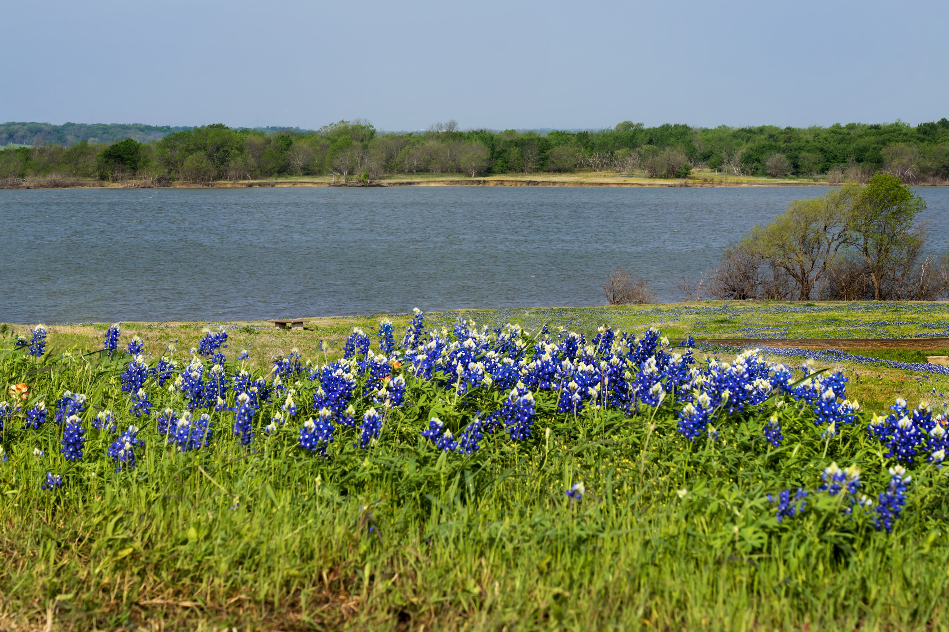 Meadow View Nature Area