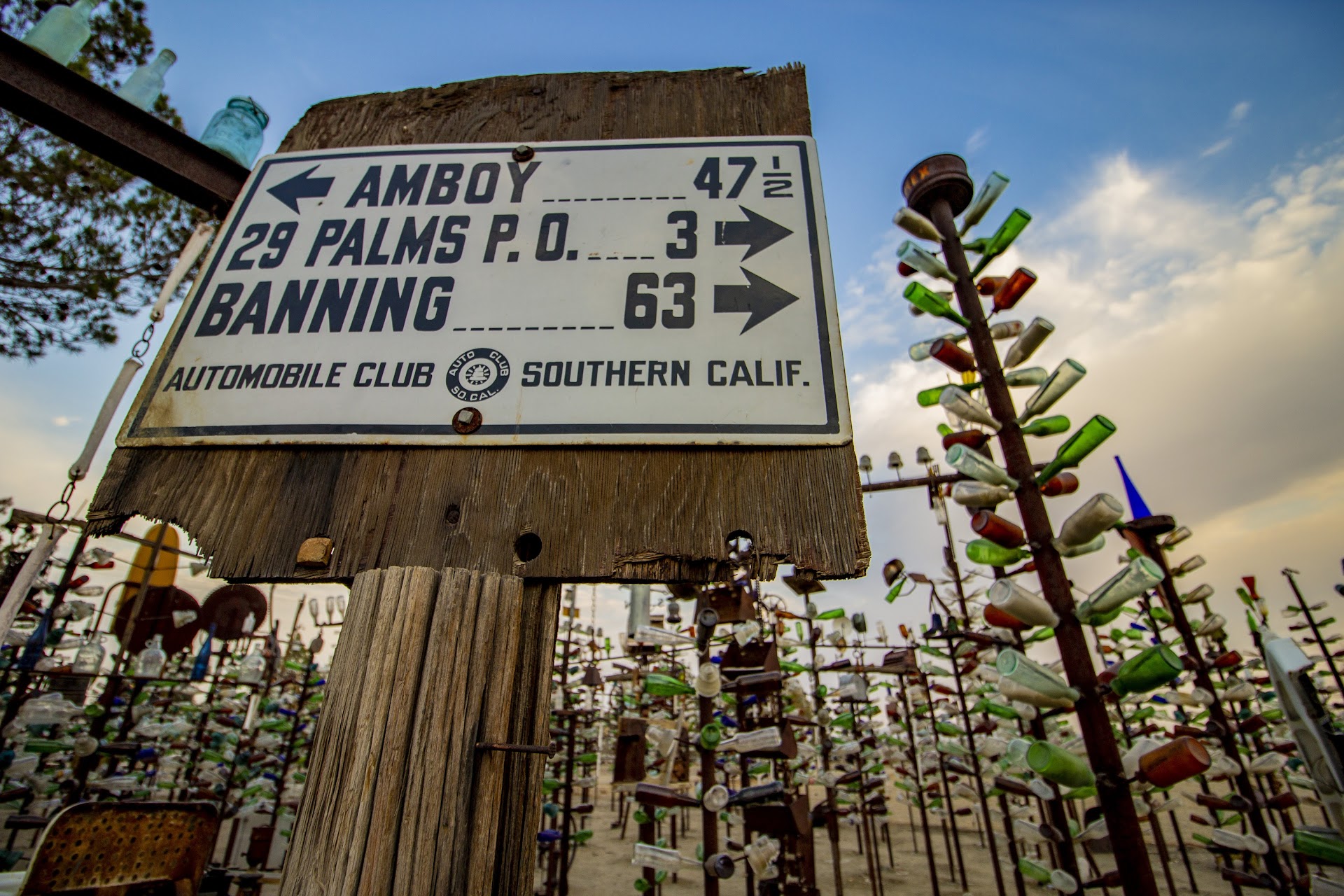 Elmer's Bottle Tree Ranch