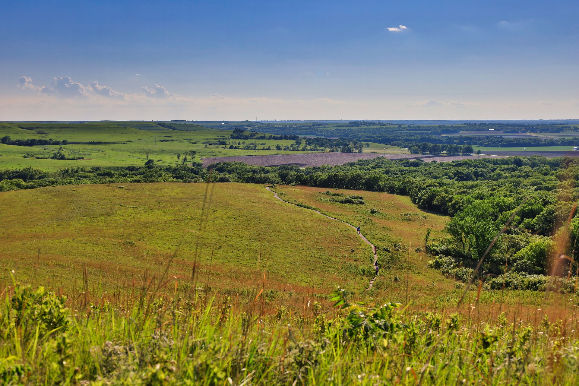 Konza Prairie Biological Station