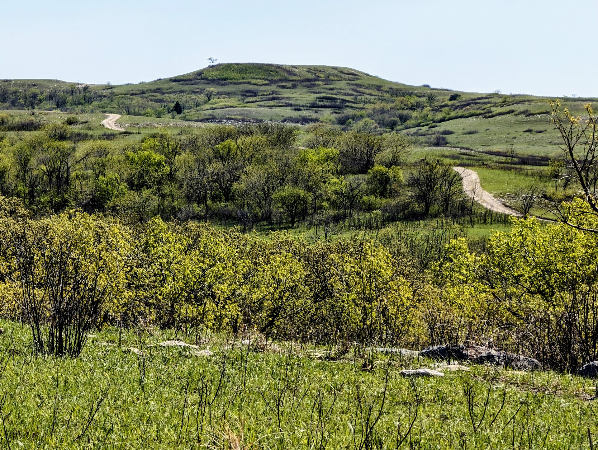 Konza Prairie Nature Trail
