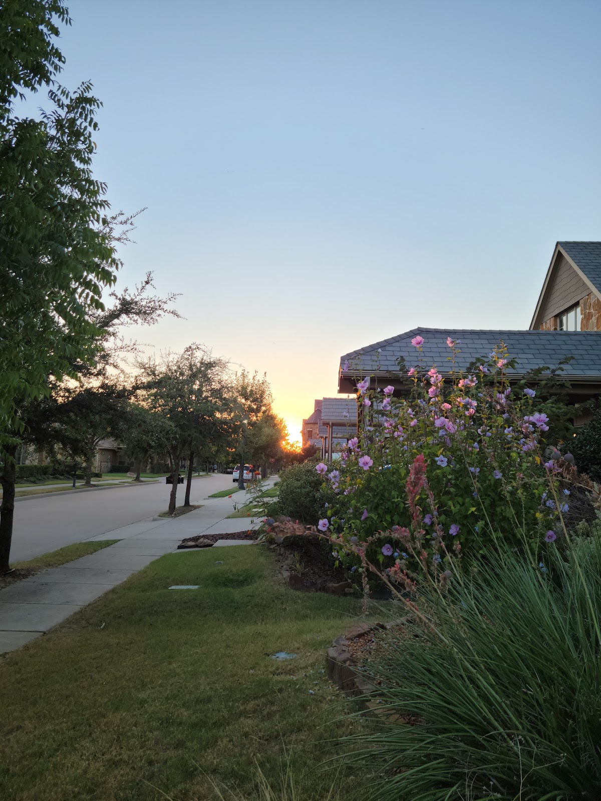 Mckinney