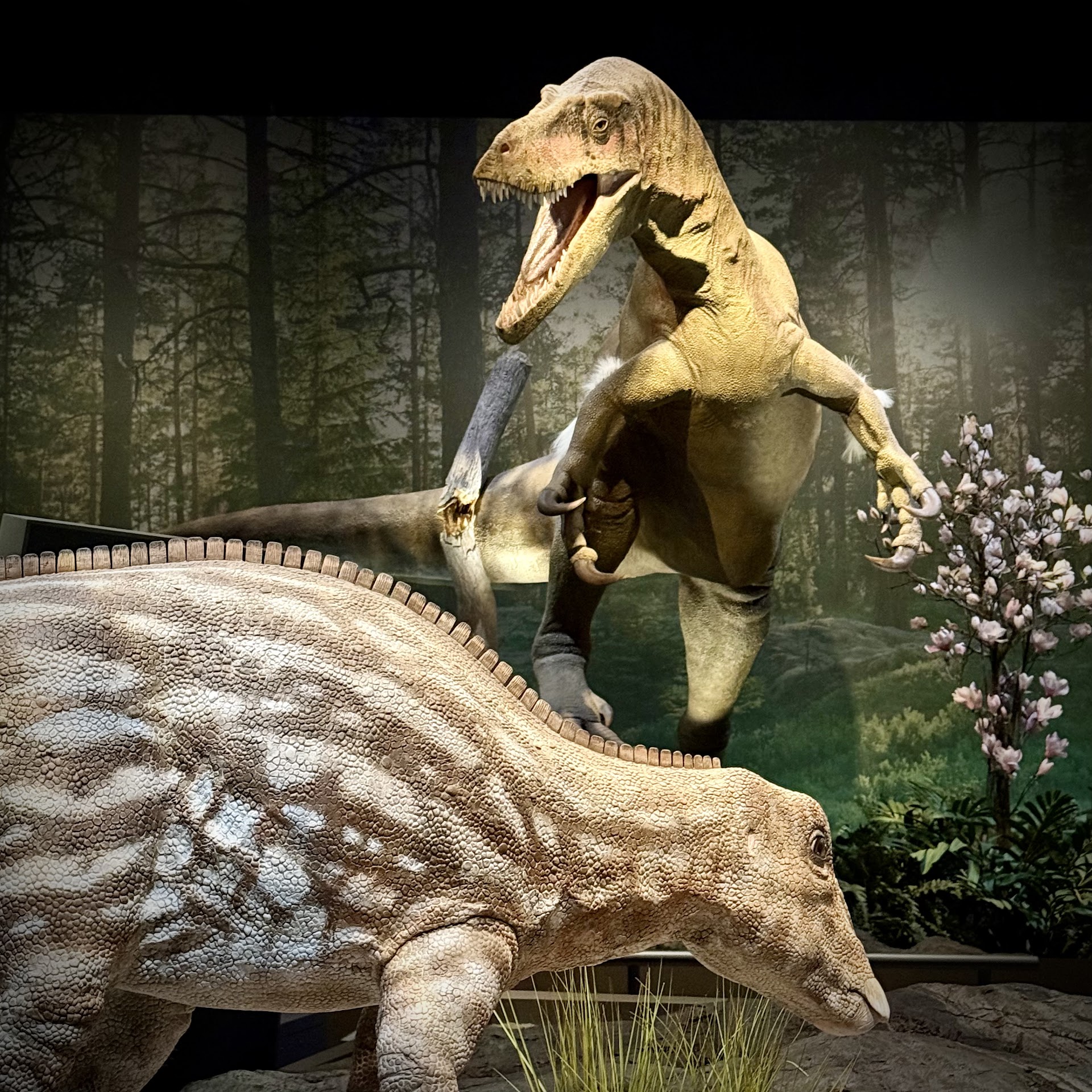 Edelman Fossil Park & Museum of Rowan University