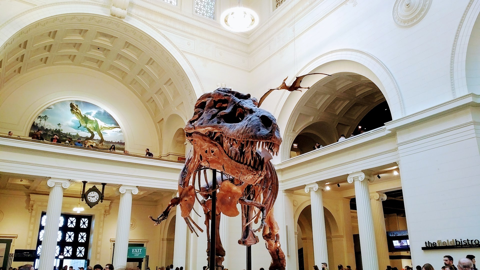 Field Museum