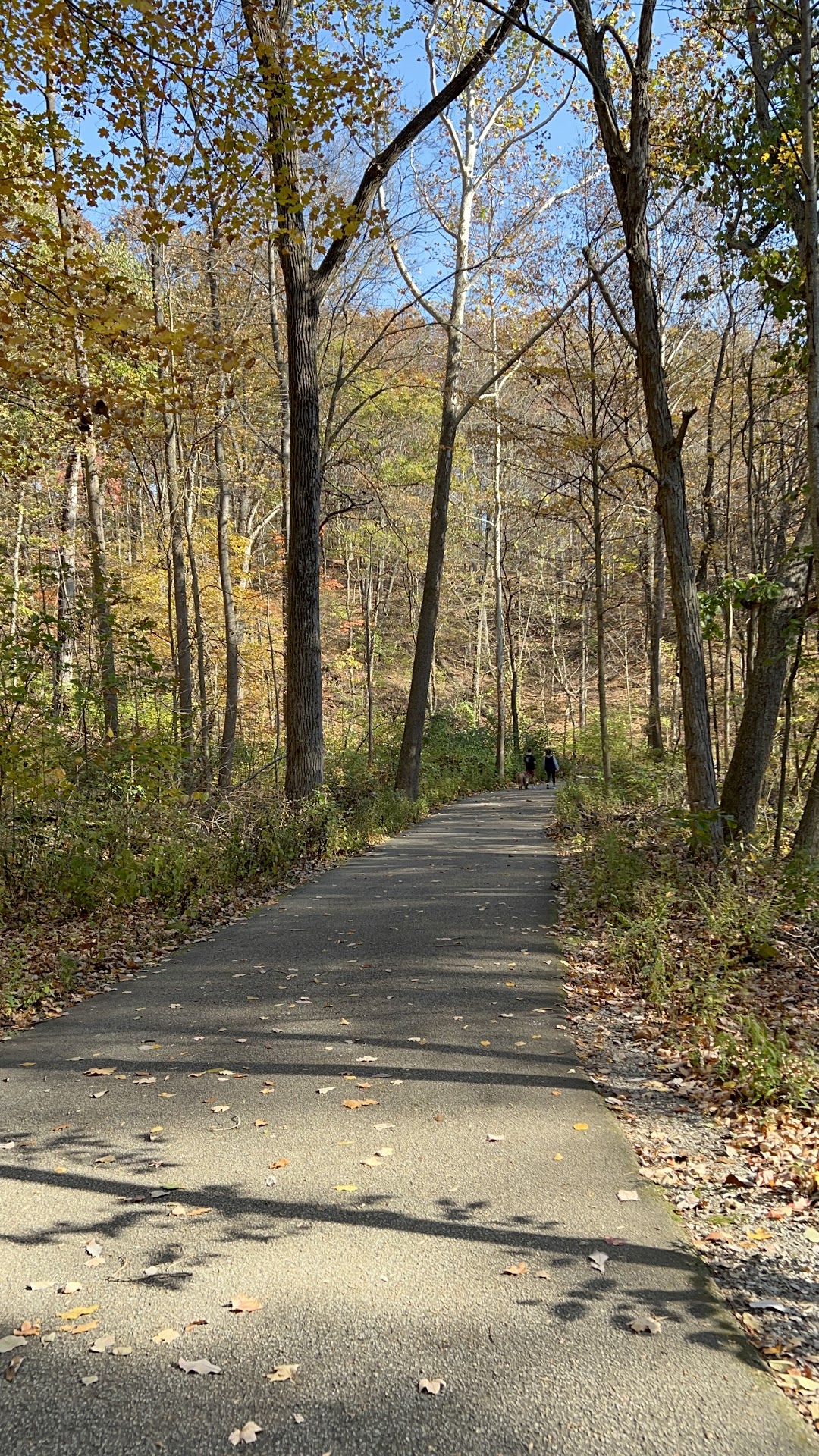 Happy Hollow Park