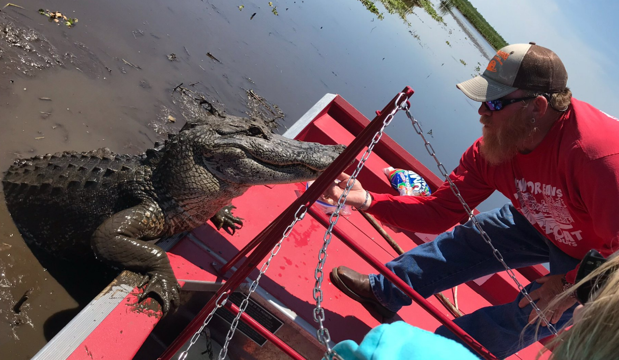 New Orleans Airboat Tours, LLC