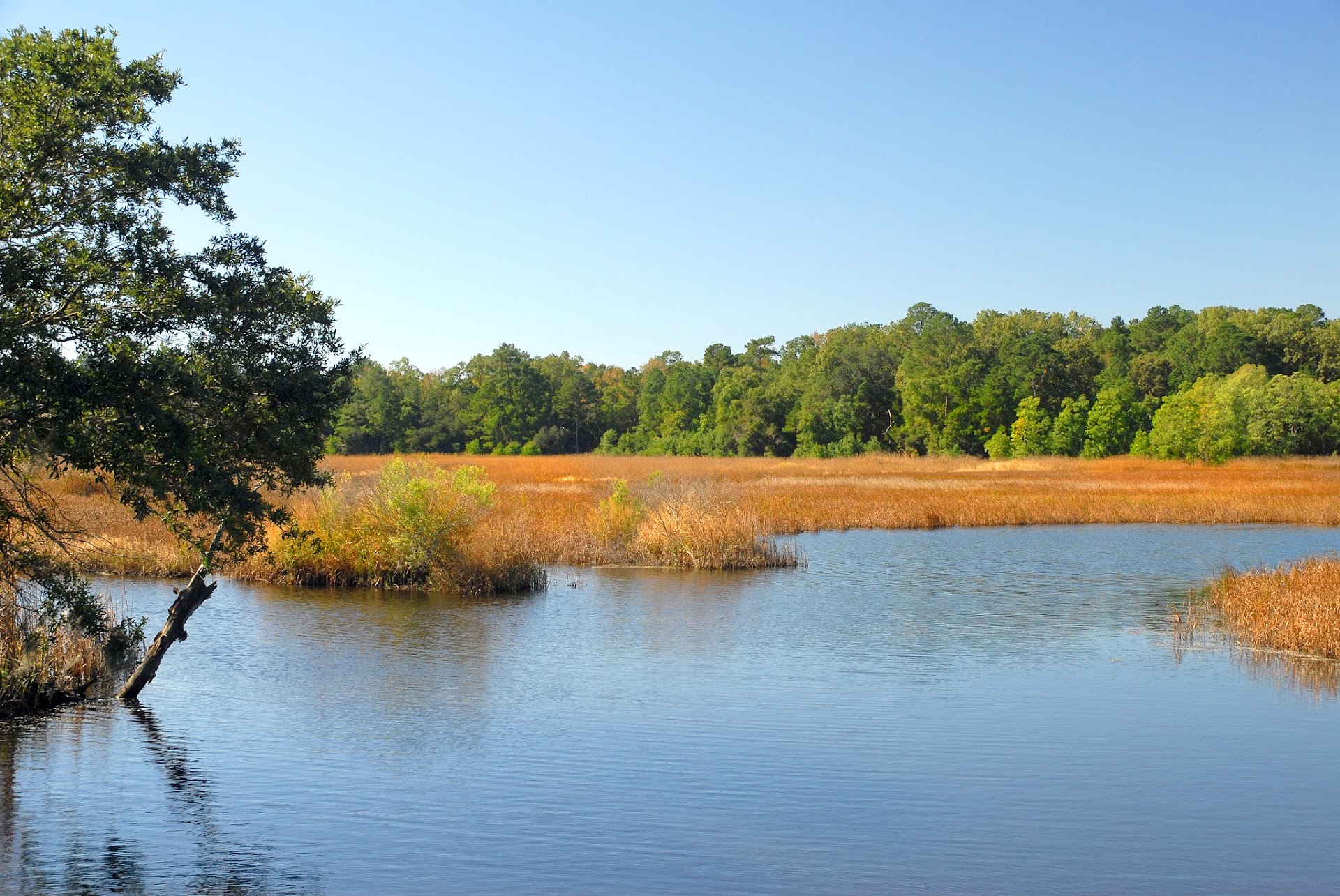 Caw Caw Interpretive Center