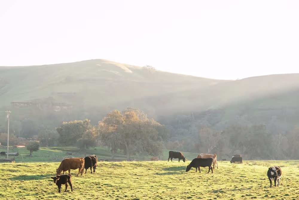 ONELIFE Senior Living Care Staff