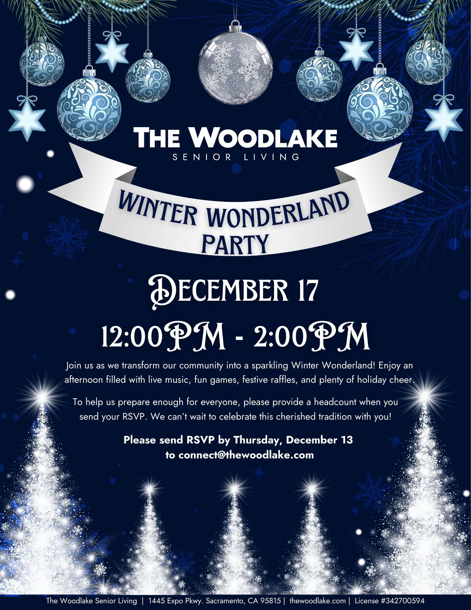Winter Wonderland Party