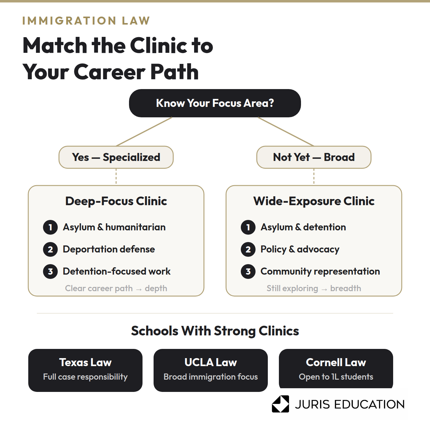 Graphic of 4 Tips to Choose the Best School for Immigration Law For You